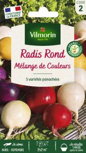 Radis ronds - Mélange de couleurs